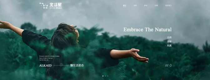 設計,網(wǎng)頁設計