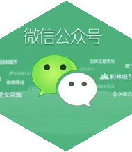 微信公眾號(hào)開發(fā),微信開發(fā),微信小程序開發(fā),微信公公二次開發(fā),微信公共平臺(tái)開發(fā) 