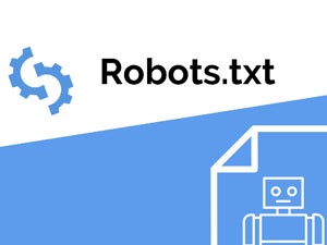 冬鏡SEO 網(wǎng)站優(yōu)化中的robots文件是否要放在根目錄？ 