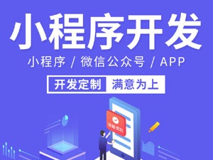 微信小程序定制開發(fā) 